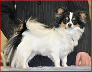 Beschreibung: Beschreibung: Beschreibung: Beschreibung: Beschreibung: Beschreibung: Beschreibung: Beschreibung: Beschreibung: Beschreibung: Beschreibung: Beschreibung: Beschreibung: Beschreibung: Beschreibung: Beschreibung: Beschreibung: Beschreibung: Beschreibung: Beschreibung: Beschreibung: Beschreibung: Beschreibung: Beschreibung: Beschreibung: Beschreibung: Beschreibung: Beschreibung: Beschreibung: Beschreibung: Beschreibung: Beschreibung: Beschreibung: Beschreibung: Beschreibung: Beschreibung: Beschreibung: Beschreibung: Beschreibung: Beschreibung: Beschreibung: Beschreibung: Beschreibung: Beschreibung: Beschreibung: Beschreibung: Beschreibung: Beschreibung: Beschreibung: Beschreibung: Beschreibung: Beschreibung: Beschreibung: Beschreibung: Beschreibung: Beschreibung: Beschreibung: Beschreibung: Beschreibung: Beschreibung: Beschreibung: Beschreibung: Beschreibung: Beschreibung: Beschreibung: Beschreibung: Beschreibung: Beschreibung: Beschreibung: Beschreibung: Beschreibung: Beschreibung: Beschreibung: Beschreibung: Beschreibung: Beschreibung: Beschreibung: Beschreibung: Beschreibung: Beschreibung: Beschreibung: Beschreibung: Beschreibung: Beschreibung: Beschreibung: Beschreibung: Beschreibung: Beschreibung: Beschreibung: Beschreibung: Beschreibung: Beschreibung: Beschreibung: Beschreibung: Beschreibung: Beschreibung: Beschreibung: Beschreibung: Beschreibung: Beschreibung: Beschreibung: Beschreibung: Beschreibung: Beschreibung: Beschreibung: Beschreibung: Beschreibung: Beschreibung: Beschreibung: Beschreibung: Beschreibung: Beschreibung: Beschreibung: Beschreibung: Beschreibung: Beschreibung: Beschreibung: Beschreibung: Beschreibung: Beschreibung: Beschreibung: Beschreibung: Beschreibung: Beschreibung: Beschreibung: Beschreibung: Beschreibung: Beschreibung: Beschreibung: Beschreibung: Beschreibung: Beschreibung: Beschreibung: Beschreibung: Beschreibung: Beschreibung: Beschreibung: Beschreibung: Beschreibung: Beschreibung: Beschreibung: Beschreibung: Beschreibung: Beschreibung: Beschreibung: Beschreibung: Beschreibung: Beschreibung: Beschreibung: Beschreibung: Beschreibung: Beschreibung: Beschreibung: Beschreibung: Beschreibung: Beschreibung: Beschreibung: Beschreibung: Beschreibung: Beschreibung: Beschreibung: Beschreibung: Beschreibung: Beschreibung: Beschreibung: Beschreibung: Beschreibung: Beschreibung: Beschreibung: Beschreibung: Beschreibung: Beschreibung: Beschreibung: Beschreibung: Beschreibung: Beschreibung: Beschreibung: Beschreibung: Beschreibung: Beschreibung: Beschreibung: Beschreibung: Beschreibung: Beschreibung: Beschreibung: Beschreibung: Beschreibung: Beschreibung: Beschreibung: Beschreibung: Beschreibung: Beschreibung: Beschreibung: Beschreibung: Beschreibung: Beschreibung: Beschreibung: Beschreibung: Beschreibung: Beschreibung: Beschreibung: Beschreibung: Beschreibung: Beschreibung: Beschreibung: Beschreibung: Beschreibung: Beschreibung: Beschreibung: Beschreibung: Beschreibung: Beschreibung: Beschreibung: Beschreibung: Beschreibung: Beschreibung: Beschreibung: Beschreibung: Beschreibung: Beschreibung: Beschreibung: Beschreibung: Beschreibung: Beschreibung: Beschreibung: Beschreibung: Beschreibung: Beschreibung: Beschreibung: Beschreibung: Beschreibung: Beschreibung: Beschreibung: Beschreibung: Beschreibung: Beschreibung: Beschreibung: Beschreibung: Beschreibung: Beschreibung: Beschreibung: Beschreibung: Beschreibung: Beschreibung: Beschreibung: Beschreibung: Beschreibung: Beschreibung: Beschreibung: Beschreibung: Beschreibung: Beschreibung: Beschreibung: Beschreibung: Beschreibung: Beschreibung: Beschreibung: Beschreibung: Beschreibung: Beschreibung: Beschreibung: Beschreibung: Beschreibung: Beschreibung: Beschreibung: Beschreibung: Beschreibung: Beschreibung: Beschreibung: Beschreibung: Beschreibung: Beschreibung: Beschreibung: Beschreibung: Beschreibung: Beschreibung: Beschreibung: Beschreibung: Beschreibung: Beschreibung: Beschreibung: Beschreibung: Beschreibung: Beschreibung: Beschreibung: Beschreibung: Beschreibung: Beschreibung: Beschreibung: Beschreibung: Beschreibung: Beschreibung: Beschreibung: Beschreibung: Beschreibung: Beschreibung: Beschreibung: Beschreibung: Beschreibung: Beschreibung: Beschreibung: Beschreibung: Beschreibung: Beschreibung: Beschreibung: Beschreibung: Beschreibung: Beschreibung: Beschreibung: Europasieger 2010 082a