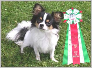 Beschreibung: Beschreibung: Beschreibung: Beschreibung: Beschreibung: Beschreibung: Beschreibung: Beschreibung: Beschreibung: Beschreibung: Beschreibung: Beschreibung: Beschreibung: Beschreibung: Beschreibung: Beschreibung: Beschreibung: Beschreibung: Beschreibung: Beschreibung: Beschreibung: Beschreibung: Beschreibung: Beschreibung: Beschreibung: Beschreibung: Beschreibung: Beschreibung: Beschreibung: Beschreibung: Beschreibung: Beschreibung: Beschreibung: Beschreibung: Beschreibung: Beschreibung: Beschreibung: Beschreibung: Beschreibung: Beschreibung: Beschreibung: Beschreibung: Beschreibung: Beschreibung: Beschreibung: Beschreibung: Beschreibung: Beschreibung: Beschreibung: Beschreibung: Beschreibung: Beschreibung: Beschreibung: Beschreibung: Beschreibung: Beschreibung: Beschreibung: Beschreibung: Beschreibung: Beschreibung: Beschreibung: Beschreibung: Beschreibung: Beschreibung: Beschreibung: Beschreibung: Beschreibung: Beschreibung: Beschreibung: Beschreibung: Beschreibung: Beschreibung: Beschreibung: Beschreibung: Beschreibung: Beschreibung: Beschreibung: Beschreibung: Beschreibung: Beschreibung: Beschreibung: Beschreibung: Beschreibung: Beschreibung: Beschreibung: Beschreibung: Beschreibung: Beschreibung: Beschreibung: Beschreibung: Beschreibung: Beschreibung: Beschreibung: Beschreibung: Beschreibung: Beschreibung: Beschreibung: Beschreibung: Beschreibung: Beschreibung: Beschreibung: Beschreibung: Beschreibung: Beschreibung: Beschreibung: Beschreibung: Beschreibung: Beschreibung: Beschreibung: Beschreibung: Beschreibung: Beschreibung: Beschreibung: Beschreibung: Beschreibung: Beschreibung: Beschreibung: Beschreibung: Beschreibung: Beschreibung: Beschreibung: Beschreibung: Beschreibung: Beschreibung: Beschreibung: Beschreibung: Beschreibung: Beschreibung: Beschreibung: Beschreibung: Beschreibung: Beschreibung: Beschreibung: Beschreibung: Beschreibung: Beschreibung: Beschreibung: Beschreibung: Beschreibung: Beschreibung: Beschreibung: Beschreibung: Beschreibung: Beschreibung: Beschreibung: Beschreibung: Beschreibung: Beschreibung: Beschreibung: Beschreibung: Beschreibung: Beschreibung: Beschreibung: Beschreibung: Beschreibung: Beschreibung: Beschreibung: Beschreibung: Beschreibung: Beschreibung: Beschreibung: Beschreibung: Beschreibung: Beschreibung: Beschreibung: Beschreibung: Beschreibung: Beschreibung: Beschreibung: Beschreibung: Beschreibung: Beschreibung: Beschreibung: Beschreibung: Beschreibung: Beschreibung: Beschreibung: Beschreibung: Beschreibung: Beschreibung: Beschreibung: Beschreibung: Beschreibung: Beschreibung: Beschreibung: Beschreibung: Beschreibung: Beschreibung: Beschreibung: Beschreibung: Beschreibung: Beschreibung: Beschreibung: Beschreibung: Beschreibung: Beschreibung: Beschreibung: Beschreibung: Beschreibung: Beschreibung: Beschreibung: Beschreibung: Beschreibung: Beschreibung: Beschreibung: Beschreibung: Beschreibung: Beschreibung: Beschreibung: Beschreibung: Beschreibung: Beschreibung: Beschreibung: Beschreibung: Beschreibung: Beschreibung: Beschreibung: Beschreibung: Beschreibung: Beschreibung: Beschreibung: Beschreibung: Beschreibung: Beschreibung: Beschreibung: Beschreibung: Beschreibung: Beschreibung: Beschreibung: Beschreibung: Beschreibung: Beschreibung: Beschreibung: Beschreibung: Beschreibung: Beschreibung: Beschreibung: Beschreibung: Beschreibung: Beschreibung: Beschreibung: Beschreibung: Beschreibung: Beschreibung: Beschreibung: Beschreibung: Beschreibung: Beschreibung: Beschreibung: Beschreibung: Beschreibung: Beschreibung: Beschreibung: Beschreibung: Beschreibung: Beschreibung: Beschreibung: Beschreibung: Beschreibung: Beschreibung: Beschreibung: Beschreibung: Beschreibung: Beschreibung: Beschreibung: Beschreibung: Beschreibung: Beschreibung: Beschreibung: Beschreibung: Beschreibung: Beschreibung: Beschreibung: Beschreibung: Beschreibung: Beschreibung: Beschreibung: Beschreibung: Beschreibung: Beschreibung: Beschreibung: Beschreibung: Beschreibung: Beschreibung: Beschreibung: Beschreibung: Beschreibung: Beschreibung: Beschreibung: Beschreibung: Beschreibung: Beschreibung: Beschreibung: Beschreibung: Beschreibung: Beschreibung: Beschreibung: Beschreibung: Beschreibung: Beschreibung: Beschreibung: Beschreibung: Beschreibung: Beschreibung: Beschreibung: Beschreibung: Beschreibung: Beschreibung: Beschreibung: DSCN1172k